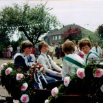 kikö.84-1 (Small)